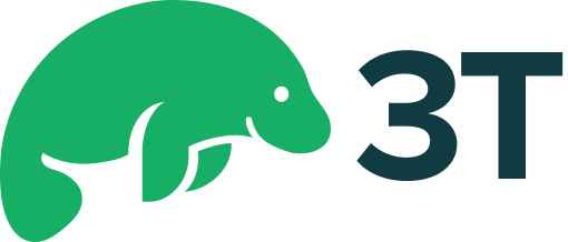 3T